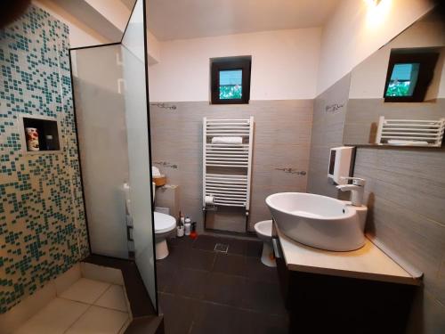 łazienka z umywalką i toaletą w obiekcie Apartament centru camera si living,4 persoane w Jassach