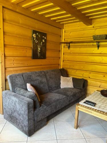 a couch in a room with a wooden wall at Chata u Wozniaka in Kościelisko