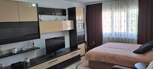 a bedroom with a bed and a large television at Apartament 2 camere Campulung Muscel in Câmpulung