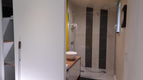 a bathroom with a shower and a sink at Maison de 4 personnes in Saint-Porchaire