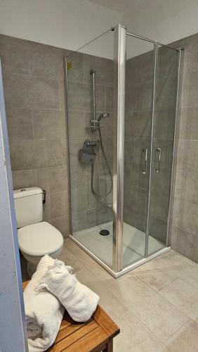 a bathroom with a shower with a toilet and a sink at Maison Bella Vista in Cagnano