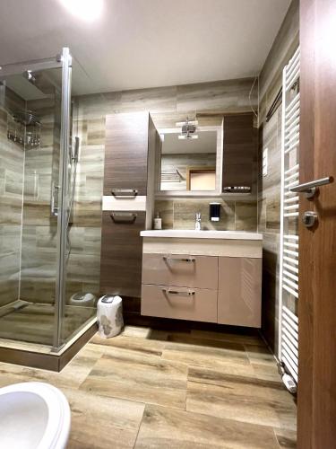 a bathroom with a shower and a sink and a toilet at Villa Sarajevo in Vareš