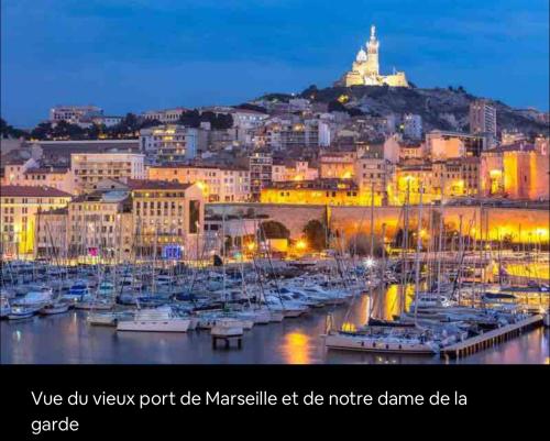 Joli studio proche plage, vieux port & Palais Pharo