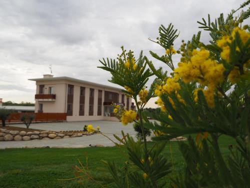 a building with yellow flowers in front of it at M-APPHOTEL in Benna