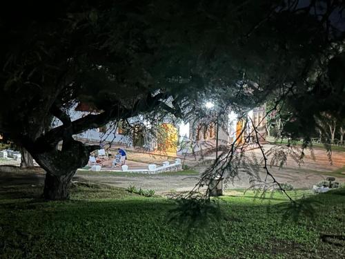 a tree in a field with a park at night at La Posta del Jesuita in Villa Los Aromos