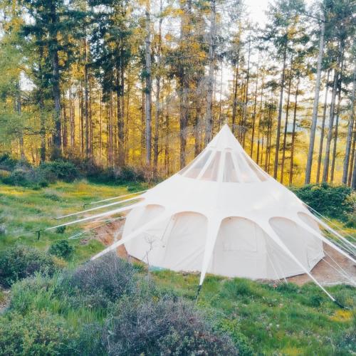 a white tent in a field with trees in the background at ECO CEIBA in Busque