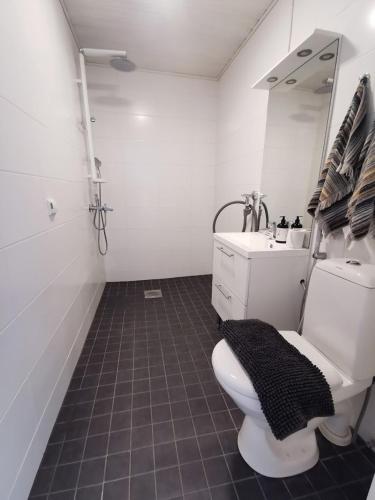 a white bathroom with a toilet and a sink at Pohjankatu (Vanha Rauma) in Rauma