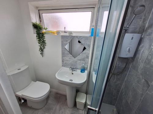 a bathroom with a toilet and a sink and a shower at Birmingham City Homestay in Birmingham