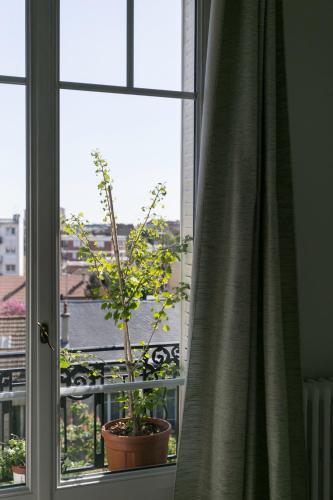 une plante dans un pot assise sur un rebord de fenêtre dans l'établissement Appartement de charme près de La Défense, à Colombes