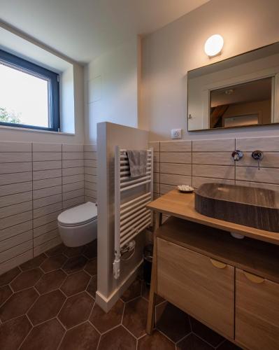 a bathroom with a sink and a toilet and a mirror at Hôtel du DOMAINE SAINT LOUP in Michelbach