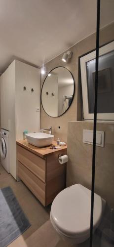 a bathroom with a sink and a toilet and a mirror at Old town STONE HOUSE OASIS in Selce