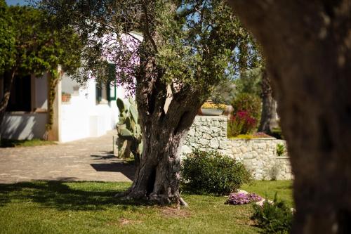 a tree in the grass next to a stone wall at Borgo Mulino a Vento - Resort in Uggiano la Chiesa