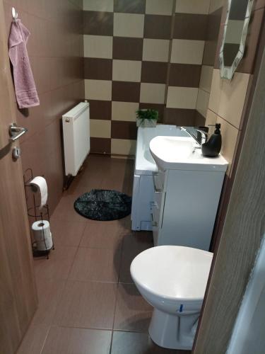 een badkamer met een toilet en een wastafel bij NicoResident in Ocna-Mureşului