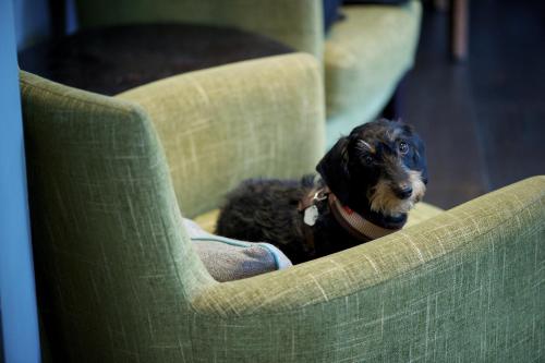 The Lodge Hotel - Putney photo 41