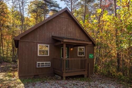 una piccola cabina in mezzo al bosco di Blue Rose Cabins - Naughty Pine Cabin a Logan