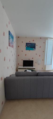 un salon avec un canapé et une télévision dans l'établissement APPARTEMENT Rue des NENUPHARS ST HILAIRE DE RIEZ, à Saint-Hilaire-de-Riez