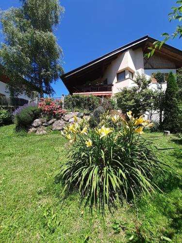 Ogród w obiekcie Dolomiti Homestay