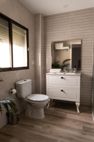a bathroom with a toilet and a sink and a mirror at Calvario 53 by 7Escalones in Rota