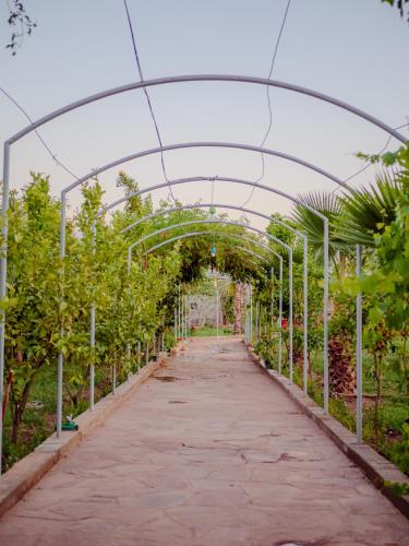 Gallery image of La Terra Rosa in Marrakech