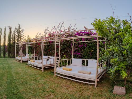 Gallery image of La Terra Rosa in Marrakech