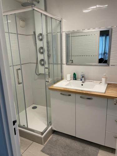 La salle de bains blanche est pourvue d'une douche et d'un lavabo. dans l'établissement Chambre proche commerce et université 1, à Brest