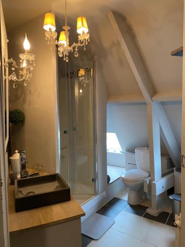 a bathroom with a toilet and a glass shower at le jardin adele in Drucat
