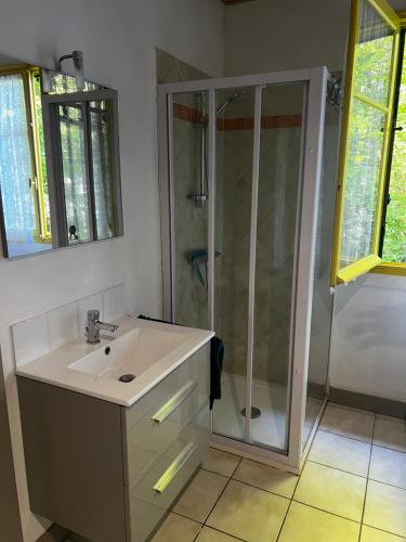 a bathroom with a sink and a shower at Chalet au bord de l'étang 4 pers in Les Boulmiers