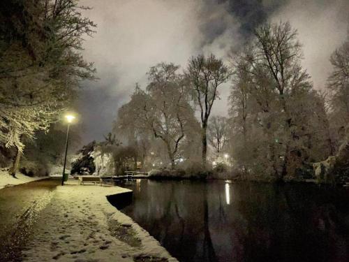 a snow covered park with a pond and a street light at Ferienwohnung 302 am Kasinopark in Georgsmarienhütte