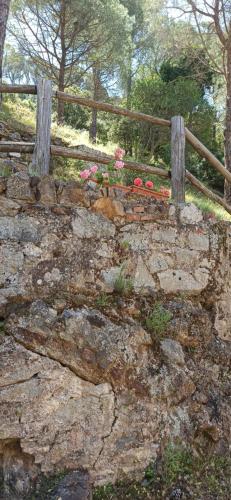 a stone wall with flowers on top of it at Borgo Ingurtosu in Ingurtosu