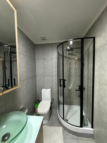a bathroom with a shower and a toilet and a sink at Hitech Appartment in Amaliás