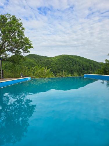 einen Pool mit blauem Wasser und einem Berg im Hintergrund in der Unterkunft Sunrise Glamping Retreat in Galeşu