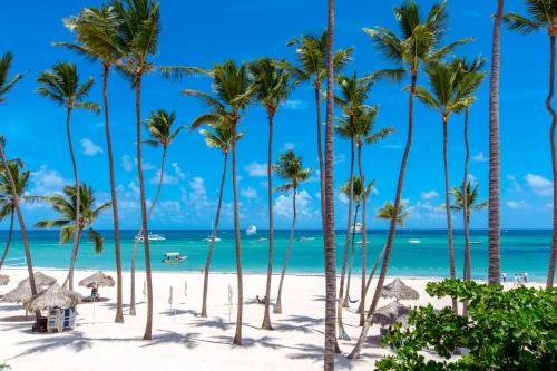 蓬塔卡納的住宿－TROPICANA SUITES DELUXE BEACH CLUB and POOL - playa LOS CORALES，海滩上的一棵棕榈树