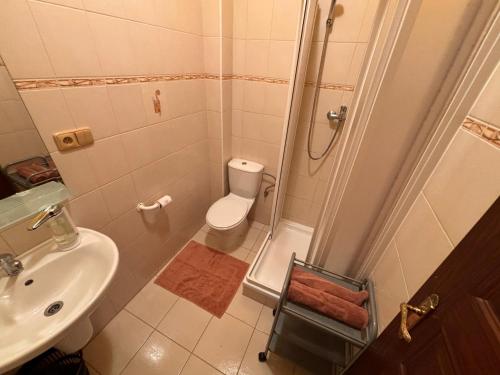 a bathroom with a shower and a toilet and a sink at Penzion U Báby in Třeboň
