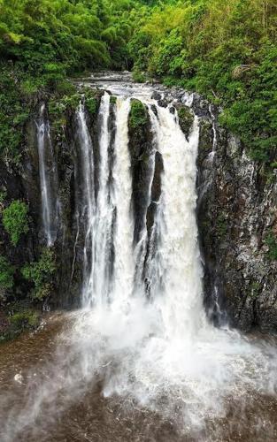 a waterfall in the middle of a forest at GITE PEI LA VANILLE "Studio Duplex TI Kaz" in Sainte-Suzanne