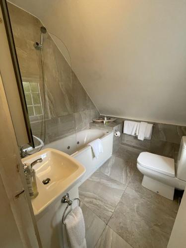 a bathroom with a sink and a tub and a toilet at Shandon Bells Guest House in Cork