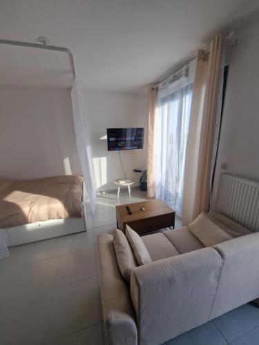 un salon avec un canapé et un lit dans l'établissement Le cosy studio, à Épinay-sur-Seine