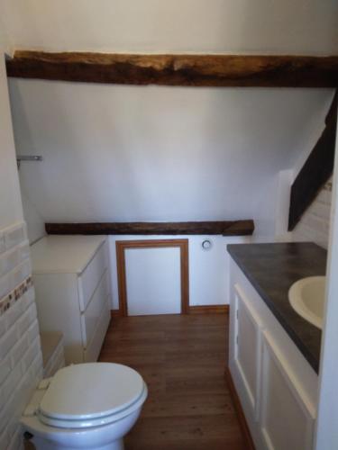 une salle de bain avec toilettes et lavabo dans l'établissement Gite de Tournieres, à Tournières