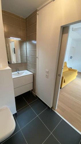 une salle de bain avec un lavabo, des toilettes et un miroir dans l'établissement joli studio, à Chens-sur-Léman
