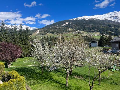 a green field with trees and mountains in the background at Chalet Stelle Di Neve in Bormio