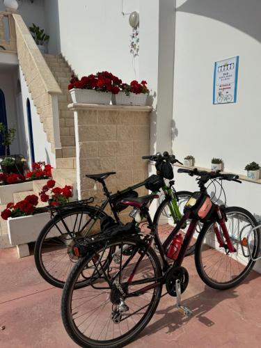 Gallery image of B&B Santa Maria Di Leuca in Leuca