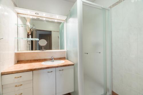 une salle de bain avec un lavabo et une douche dans l'établissement Charmant appartement Villemomble, à Villemomble