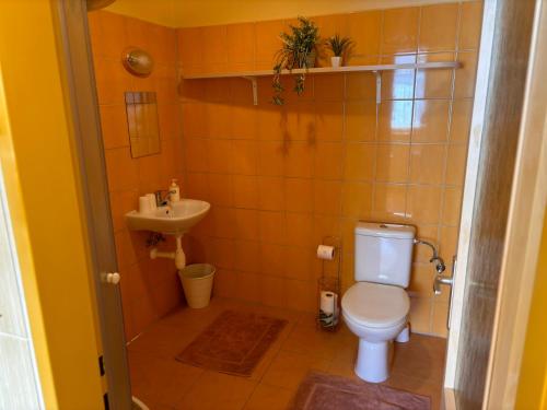a bathroom with a toilet and a sink at Penzion U Báby in Třeboň