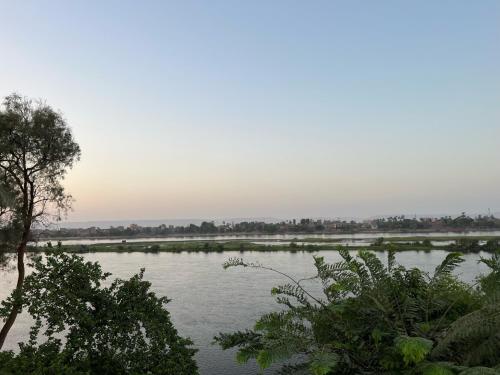 un bacino d’acqua con alberi sullo sfondo di House of Hathor a Luxor