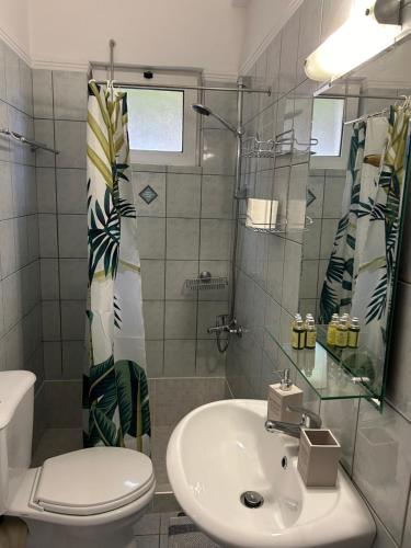 a bathroom with a toilet and a sink at Rosmaris Apartments in Plataniás