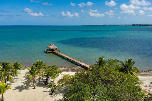 a dock in the middle of the ocean with palm trees at The Villas at Cocoplum in Placencia Village