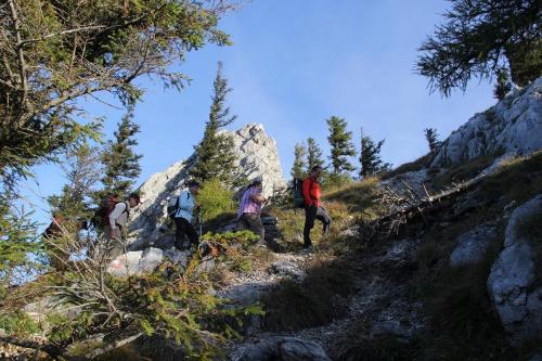 a group of people walking on a mountain trail at Gästehaus Riki Oberschmid in Steinbach am Attersee