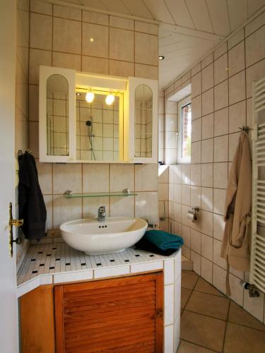 a bathroom with a sink and a mirror at Seeromantik in Amelinghausen