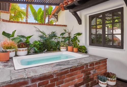 a swimming pool in a garden with plants at Lucille Palm Springs in Palm Springs