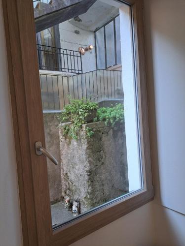 a glass door with a cat sitting in a plant at CASA n 61 in Dervio