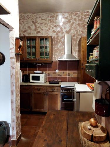 a kitchen with wooden cabinets and a microwave at Golemi kamik Pirot in Pirot